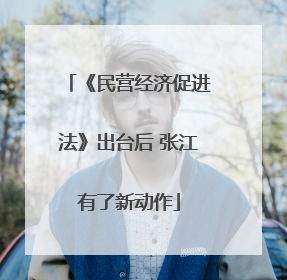 《民营经济促进法》出台后 张江有了新动作