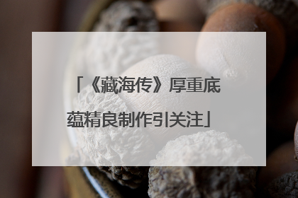 《藏海传》厚重底蕴精良制作引关注