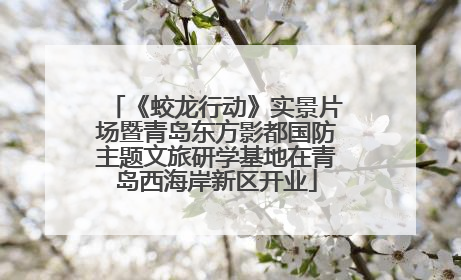 《蛟龙行动》实景片场暨青岛东方影都国防主题文旅研学基地在青岛西海岸新区开业
