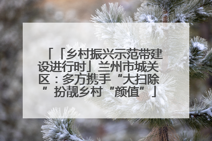 「乡村振兴示范带建设进行时」兰州市城关区：多方携手“大扫除”扮靓乡村“颜值”
