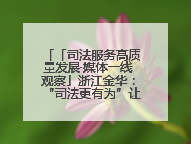 「司法服务高质量发展·媒体一线观察」浙江金华：“司法更有为”让“市场更有力”
