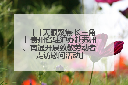 「天眼聚焦·长三角」贵州省驻沪办赴苏州、南通开展致敬劳动者走访慰问活动