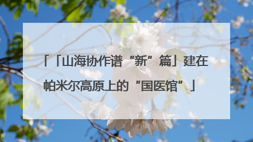 「山海协作谱“新”篇」建在帕米尔高原上的“国医馆”