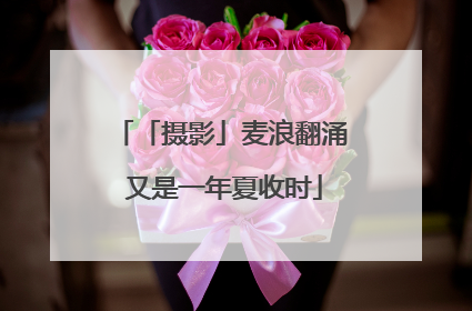 「摄影」麦浪翻涌 又是一年夏收时