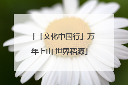 「文化中国行」万年上山 世界稻源