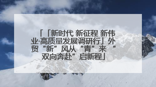 「新时代 新征程 新伟业·高质量发展调研行」外贸“新”风从“青”来 “双向奔赴”启新程