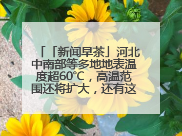 「新闻早茶」河北中南部等多地地表温度超60℃，高温范围还将扩大，还有这些热点……