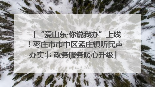 “爱山东·你说我办”上线！枣庄市市中区孟庄镇听民声办实事 政务服务暖心升级