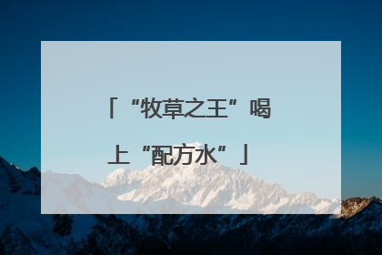 “牧草之王”喝上“配方水”