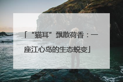 “猫耳”飘散荷香：一座江心岛的生态蜕变