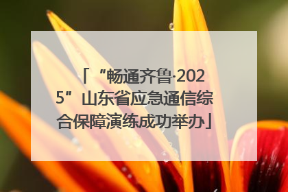 “畅通齐鲁·2025”山东省应急通信综合保障演练成功举办