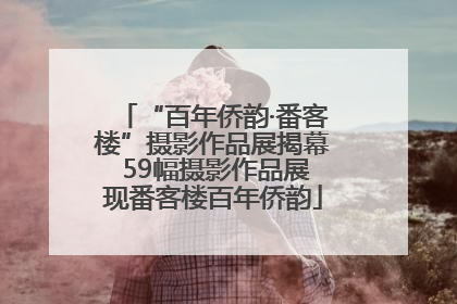“百年侨韵·番客楼”摄影作品展揭幕 59幅摄影作品展现番客楼百年侨韵