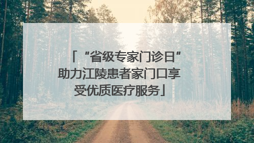 “省级专家门诊日”助力江陵患者家门口享受优质医疗服务