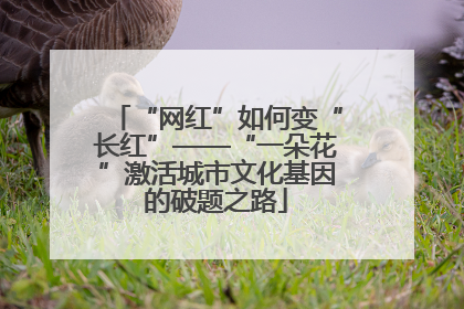 “网红”如何变“长红”——“一朵花”激活城市文化基因的破题之路