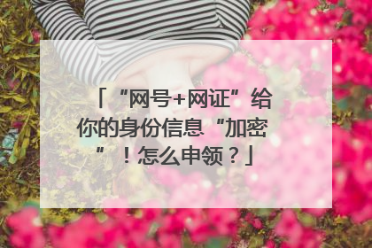 “网号+网证”给你的身份信息“加密”！怎么申领？