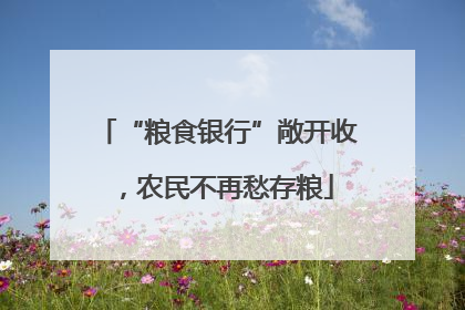“粮食银行”敞开收，农民不再愁存粮