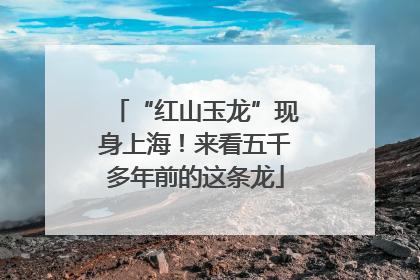 “红山玉龙”现身上海！来看五千多年前的这条龙