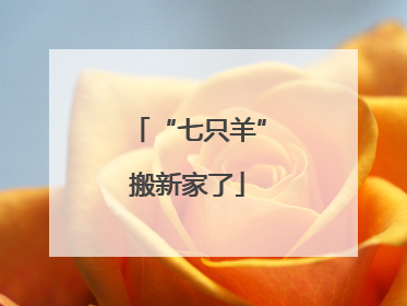 “七只羊”搬新家了