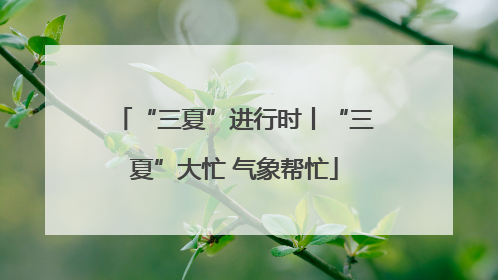 “三夏”进行时丨“三夏”大忙 气象帮忙