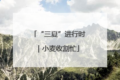 “三夏”进行时｜小麦收割忙