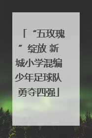 “五玫瑰”绽放 新城小学混编少年足球队勇夺四强