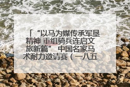 “以马为媒传承军垦精神 重组骑兵连启文旅新篇” 中国名家马术耐力邀请赛（一八五团站）暨重启骑兵连活动正式启动