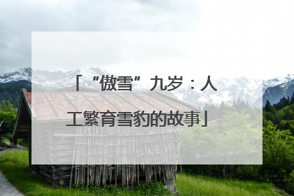 “傲雪”九岁：人工繁育雪豹的故事