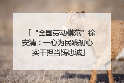 “全国劳动模范”徐安清：一心为民践初心 实干担当铸忠诚