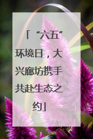“六五”环境日，大兴廊坊携手共赴生态之约