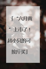 “六月黄”上市了！超小只的可按斤买