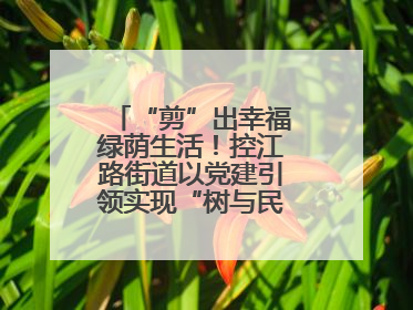 “剪”出幸福绿荫生活！控江路街道以党建引领实现“树与民”双向奔赴