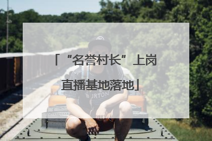 “名誉村长”上岗 直播基地落地