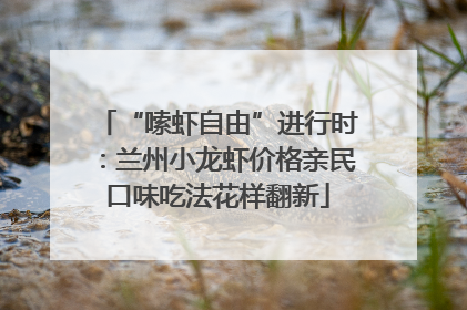 “嗦虾自由”进行时：兰州小龙虾价格亲民口味吃法花样翻新