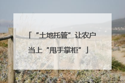“土地托管”让农户当上“甩手掌柜”