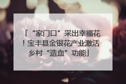 “家门口”采出幸福花！宝丰县金银花产业激活乡村“造血”功能