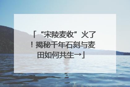 “宋陵麦收”火了！揭秘千年石刻与麦田如何共生→