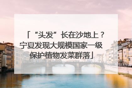 “头发”长在沙地上？宁夏发现大规模国家一级保护植物发菜群落
