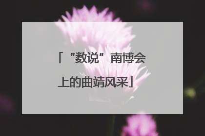 “数说”南博会上的曲靖风采