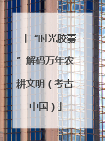 “时光胶囊”解码万年农耕文明（考古中国）