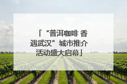 “普洱咖啡 香遇武汉”城市推介活动盛大启幕