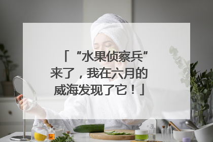 “水果侦察兵”来了，我在六月的威海发现了它！