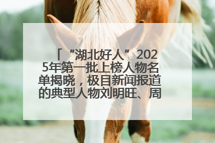 “湖北好人”2025年第一批上榜人物名单揭晓，极目新闻报道的典型人物刘明旺、周亮亮榜上有名