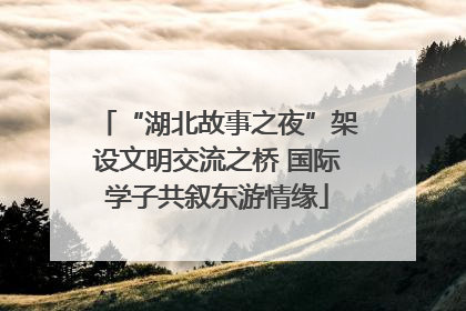 “湖北故事之夜”架设文明交流之桥 国际学子共叙东游情缘