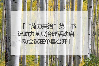 “菏力共治”第一书记助力基层治理活动启动会议在单县召开