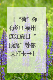 “荷”你有约！福州连江夏日“顶流”等你来打卡→