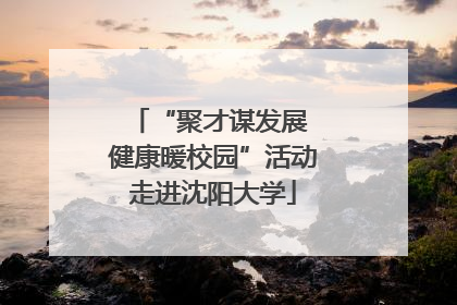 “聚才谋发展 健康暖校园”活动走进沈阳大学
