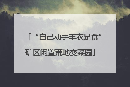 “自己动手丰衣足食”矿区闲置荒地变菜园