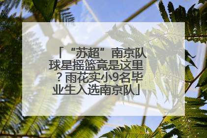 “苏超”南京队球星摇篮竟是这里？雨花实小9名毕业生入选南京队