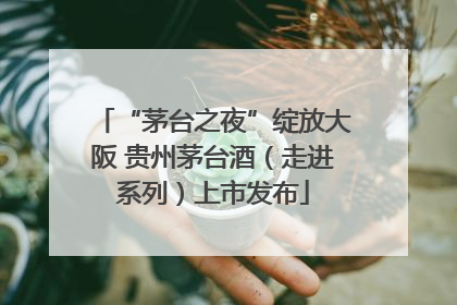 “茅台之夜”绽放大阪 贵州茅台酒（走进系列）上市发布