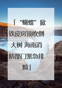 “蝴蝶”掀铁皮房顶吹倒大树 海南消防部门紧急排险